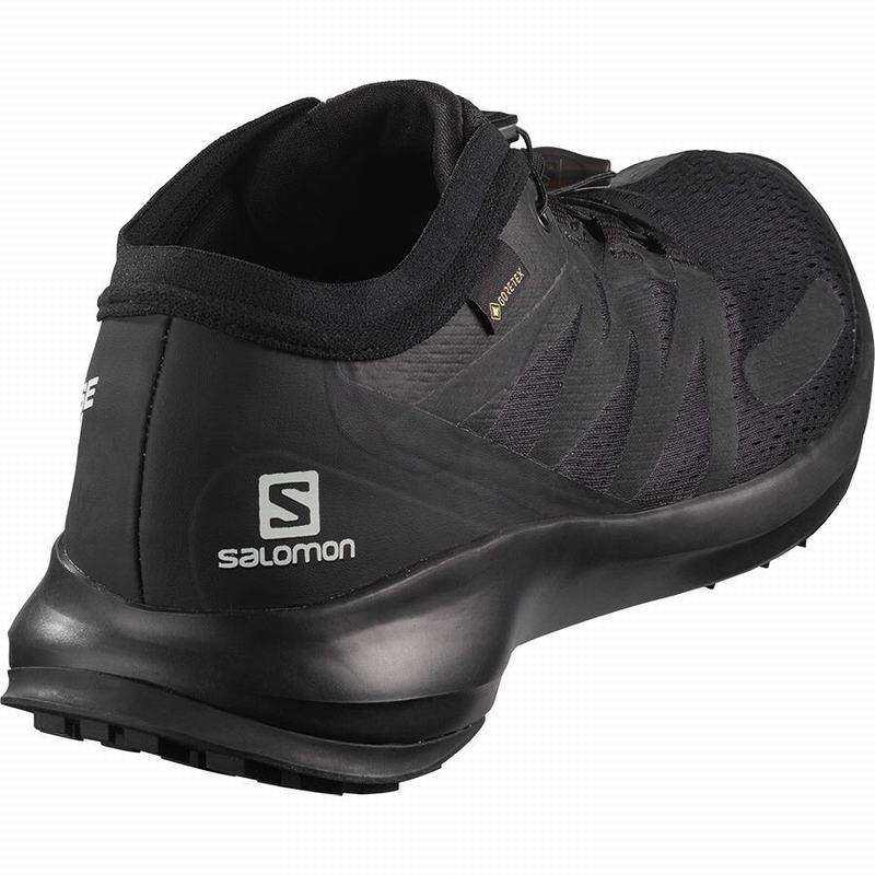 Chaussure Trail Running Salomon SENSE FLOW GTX Homme Noir | FDXHR-9238