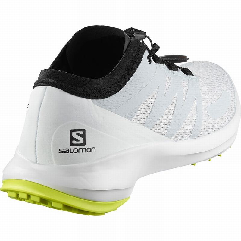 Chaussure Trail Running Salomon SENSE FLOW Homme Blanche Grise | AOCPN-6315