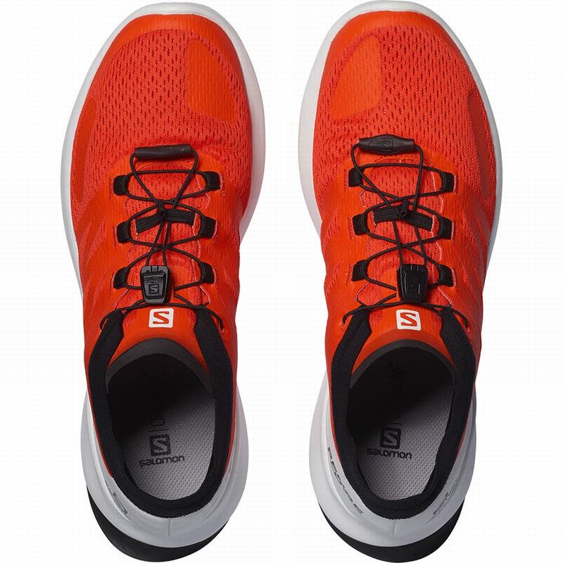 Chaussure Trail Running Salomon SENSE FLOW Homme Orange | YMBSC-4062