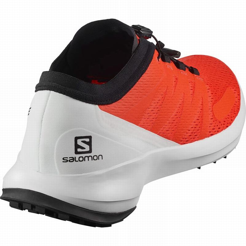 Chaussure Trail Running Salomon SENSE FLOW Homme Orange | YMBSC-4062