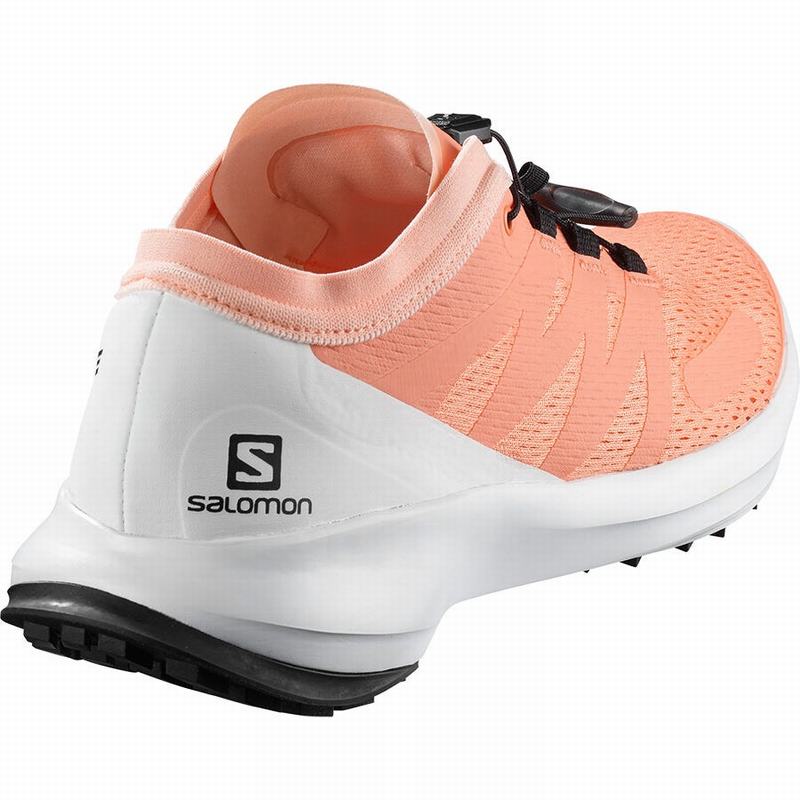 Chaussure Trail Running Salomon SENSE FLOW W Femme Blanche | XPDVZ-5234