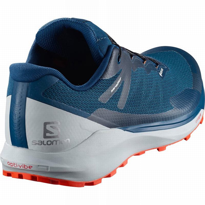 Chaussure Trail Running Salomon SENSE RIDE 3 GTX INVIS. FIT Homme Bleu Marine | QMDGU-8701