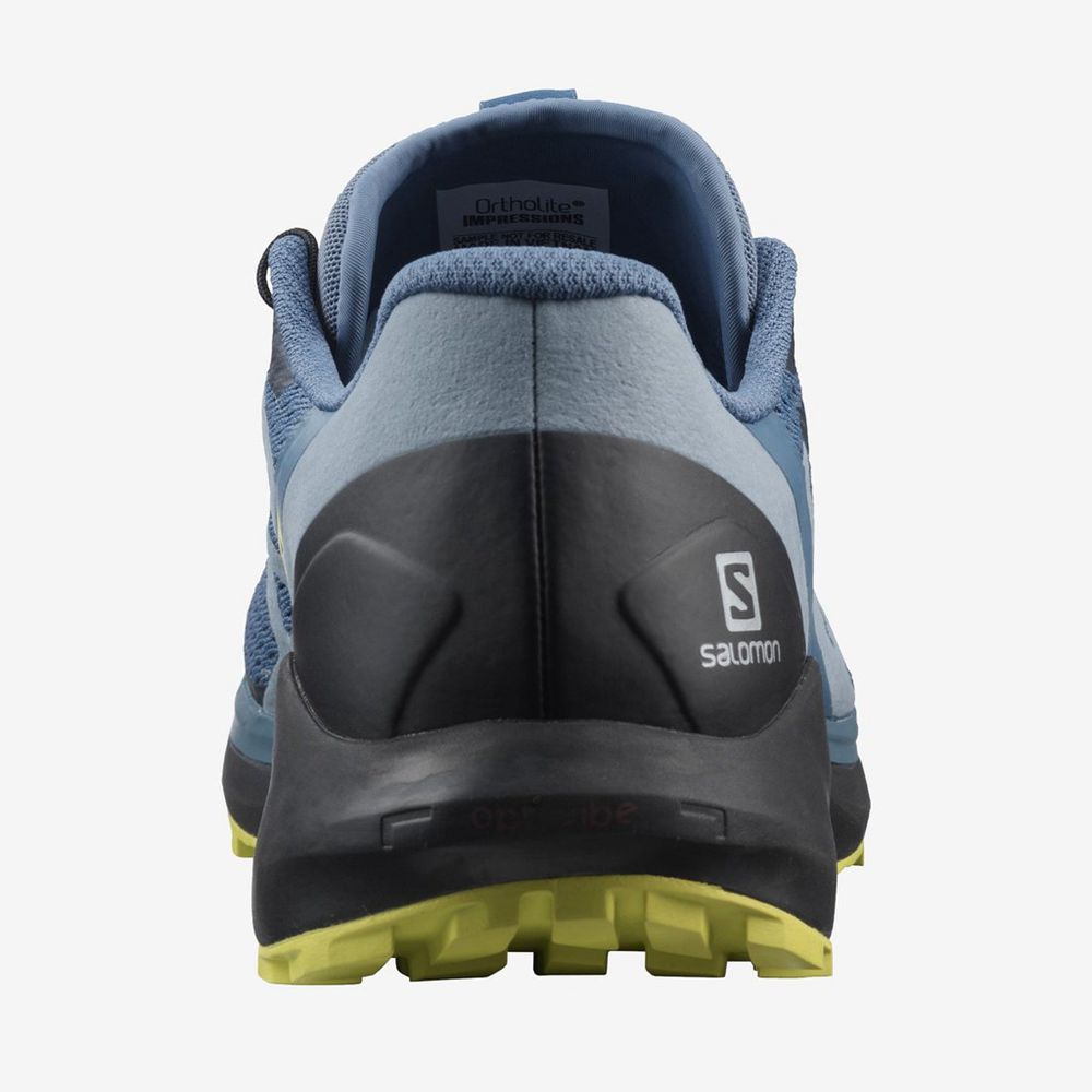 Chaussure Trail Running Salomon SENSE RIDE 4 Homme Bleu Noir | IDTEG-5279