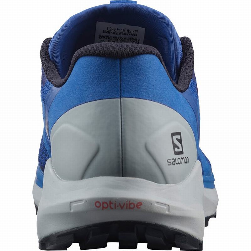 Chaussure Trail Running Salomon SENSE RIDE 4 Homme Bleu | VZJGQ-3486