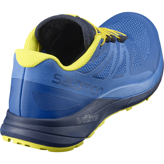 Chaussure Trail Running Salomon SENSE RIDE Homme Bleu Bleu Marine | IYZRG-1657