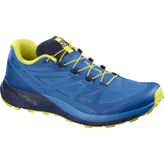 Chaussure Trail Running Salomon SENSE RIDE Homme Bleu Bleu Marine | IYZRG-1657