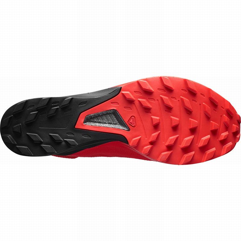 Chaussure Trail Running Salomon S/LAB SENSE 8 SOFTGROUND Homme Rouge Noir | NPGAV-8560