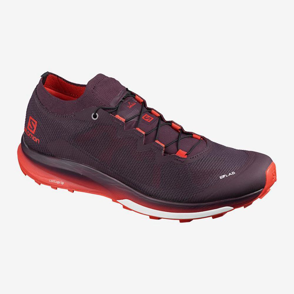 Chaussure Trail Running Salomon S/LAB ULTRA 3 Homme Violette | GSFEU-4523