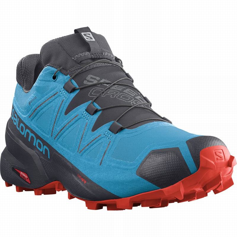 Chaussure Trail Running Salomon SPEEDCROSS 5 GORE-TEX Homme Bleu Noir | IQZTX-9841