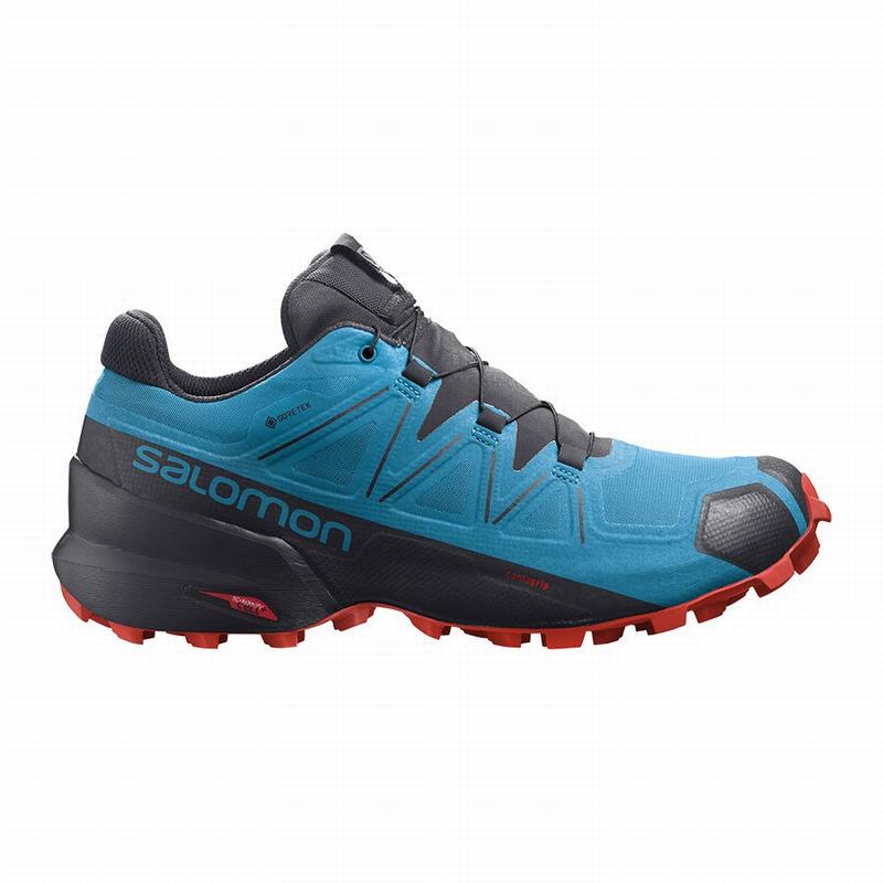 Chaussure Trail Running Salomon SPEEDCROSS 5 GORE-TEX Homme Bleu Noir | IQZTX-9841