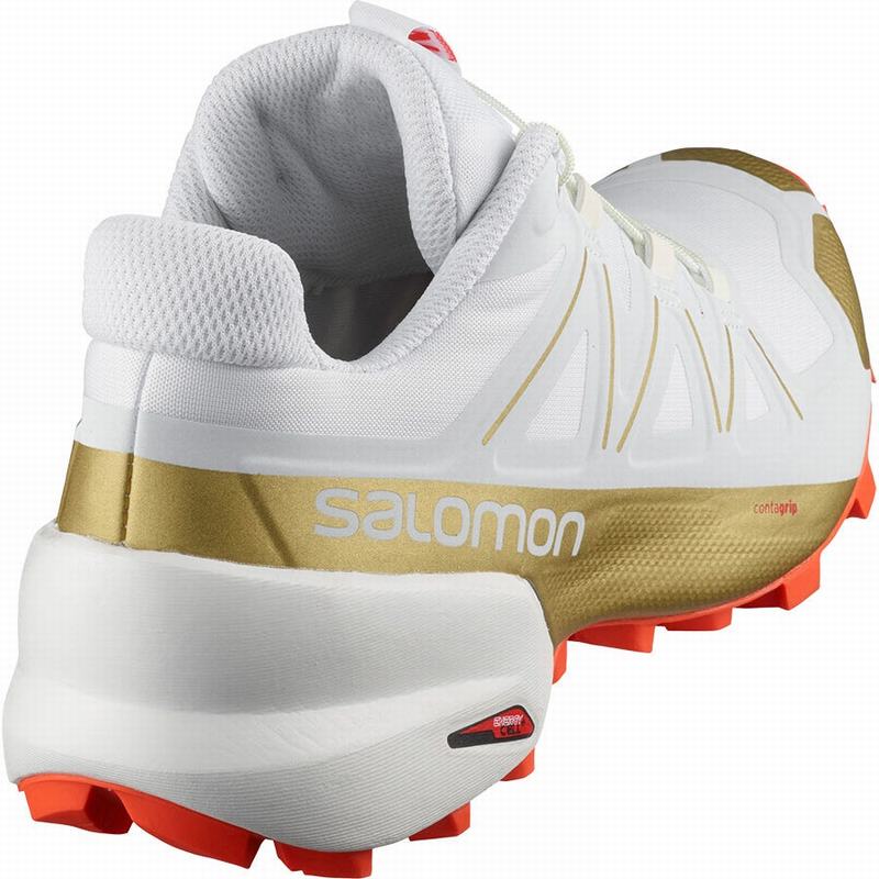 Chaussure Trail Running Salomon SPEEDCROSS 5 GTS W Femme Blanche | OAFCU-1682