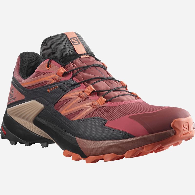 Chaussure Trail Running Salomon WINGS SKY GORE-TEX Femme Rouge Noir | WUSDY-3701