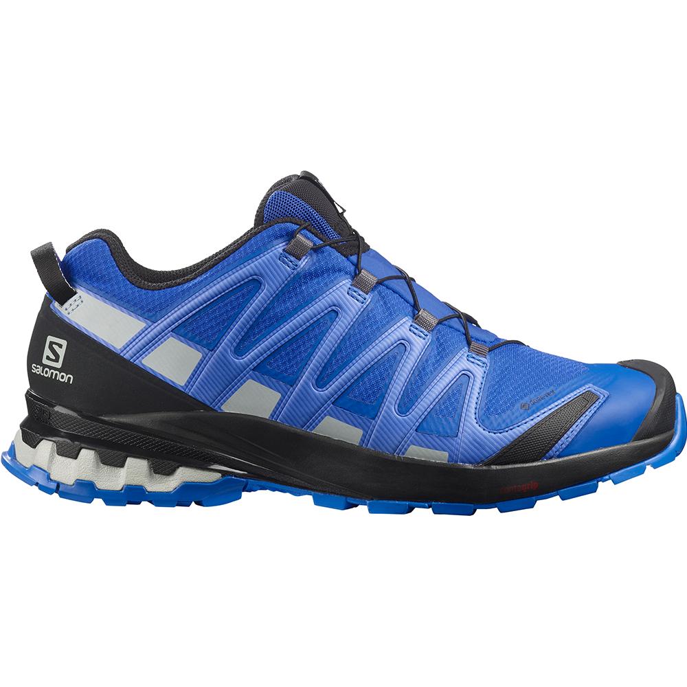 Chaussure Trail Running Salomon XA PRO 3D V8 GORE-TEX Homme Bleu Marine | OTHMU-1620