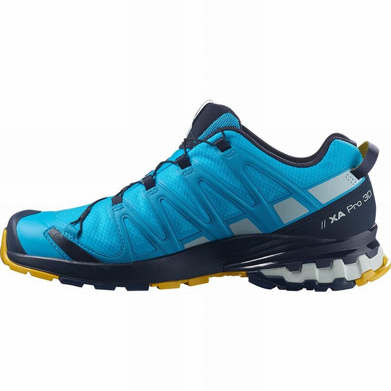 Chaussure Trail Running Salomon XA PRO 3D V8 GORE-TEX Homme Bleu | HYRXZ-9285