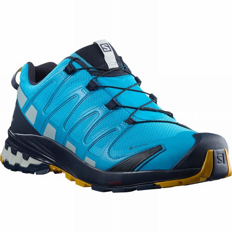 Chaussure Trail Running Salomon XA PRO 3D V8 GORE-TEX Homme Bleu | HYRXZ-9285