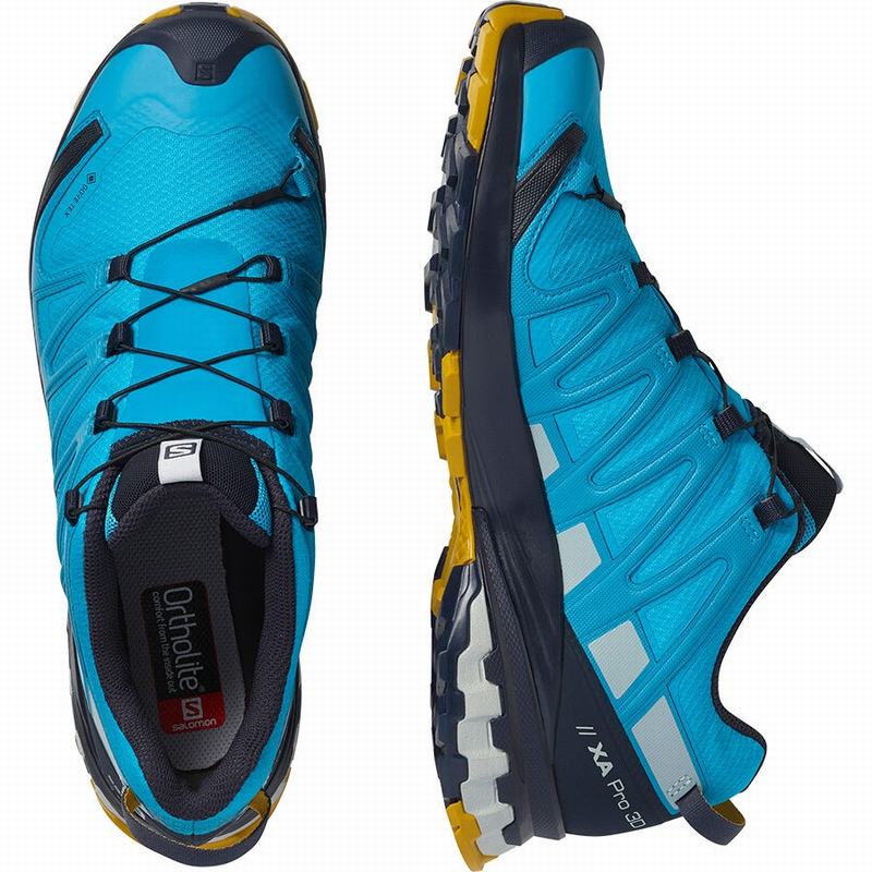 Chaussure Trail Running Salomon XA PRO 3D V8 GORE-TEX Homme Bleu | HYRXZ-9285