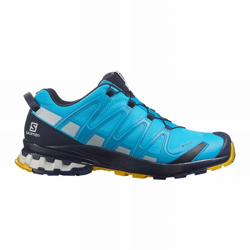 Chaussure Trail Running Salomon XA PRO 3D V8 GORE-TEX Homme Bleu | HYRXZ-9285