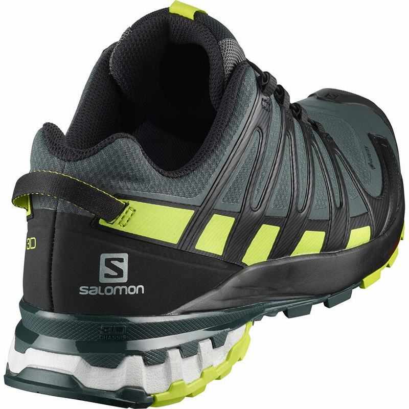 Chaussure Trail Running Salomon XA PRO 3D V8 GORE-TEX Homme Noir Vert Clair | IUWVF-4573