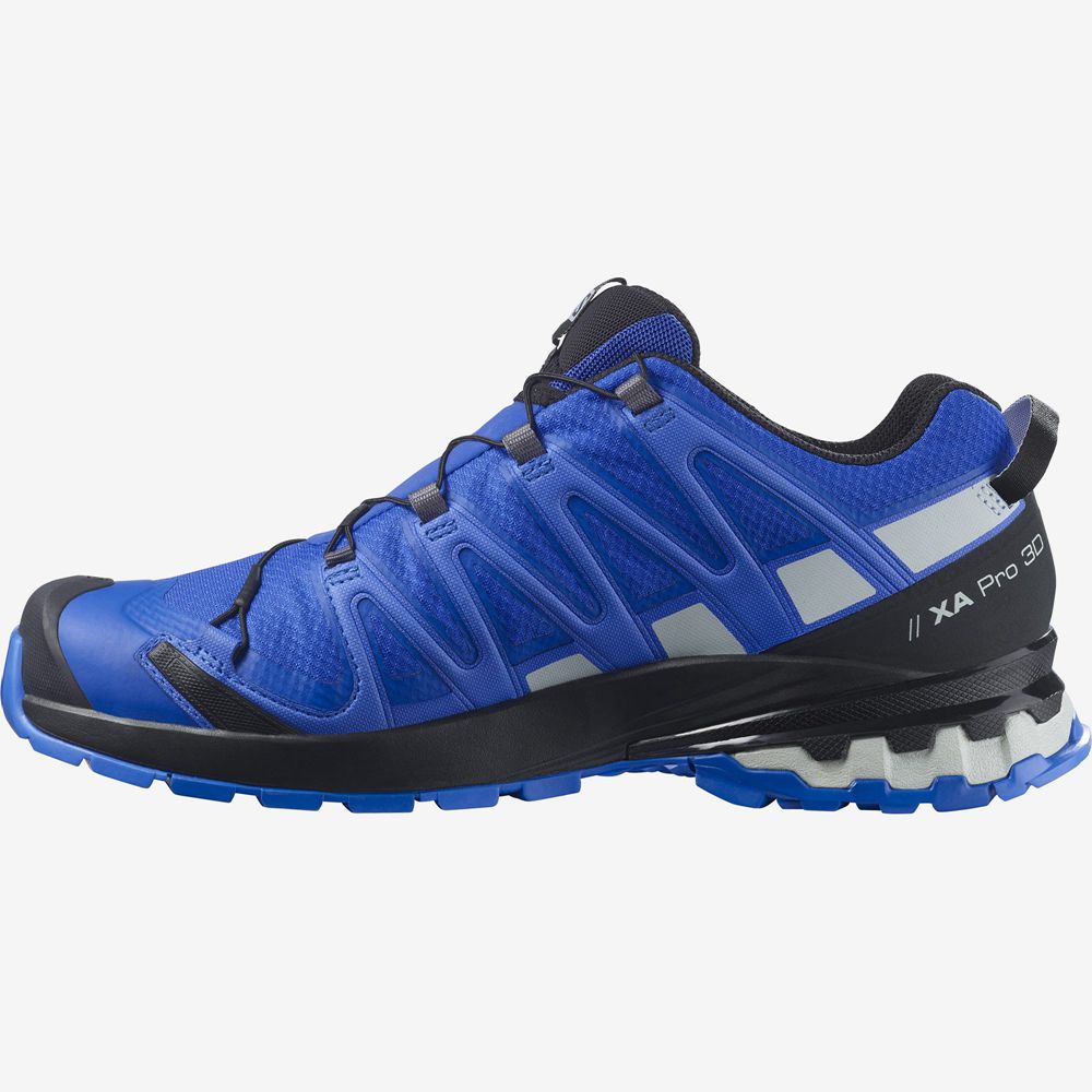 Chaussure Trail Running Salomon XA PRO 3D V8 GORE-TEX Homme Bleu | LXSJR-0812