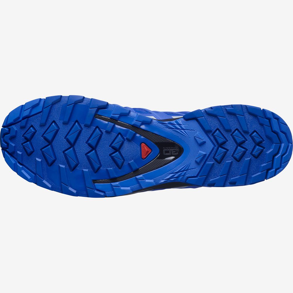 Chaussure Trail Running Salomon XA PRO 3D V8 GORE-TEX Homme Bleu | LXSJR-0812