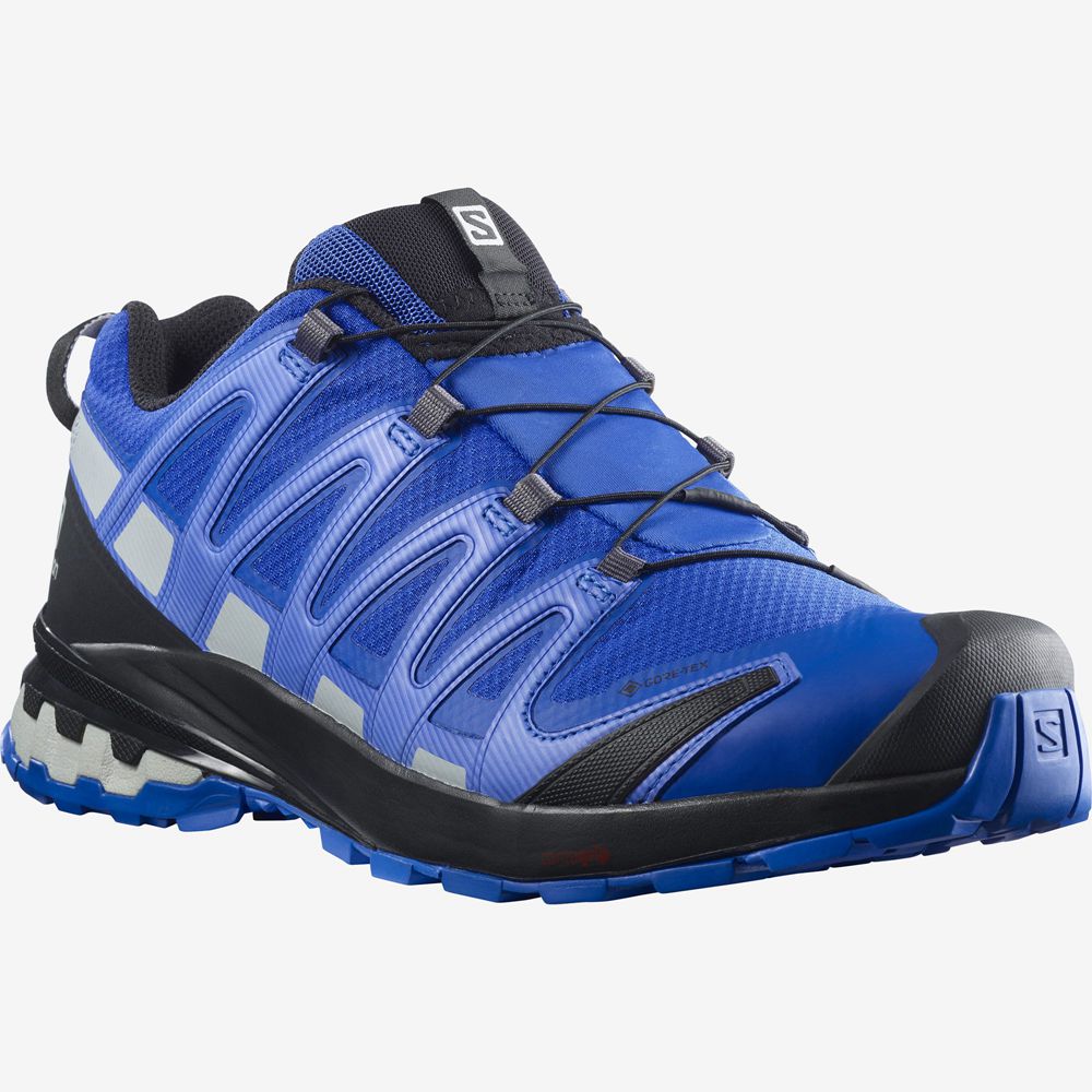 Chaussure Trail Running Salomon XA PRO 3D V8 GORE-TEX Homme Bleu | LXSJR-0812