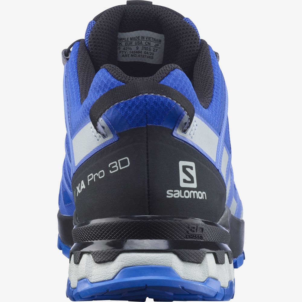 Chaussure Trail Running Salomon XA PRO 3D V8 GORE-TEX Homme Bleu | LXSJR-0812