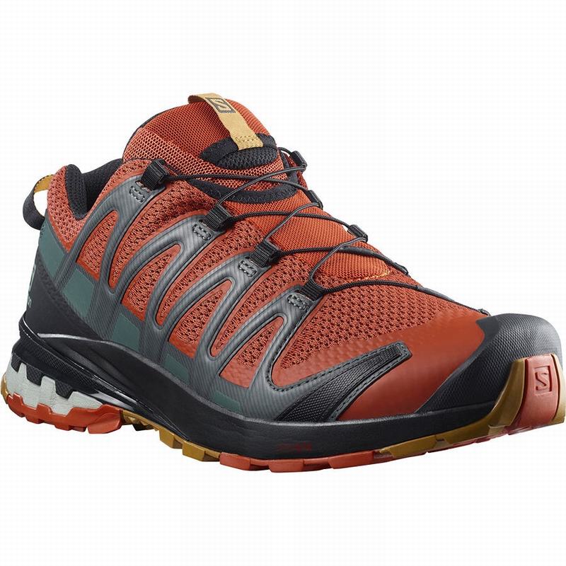 Chaussure Trail Running Salomon XA PRO 3D V8 Homme Noir | CUEHF-8463