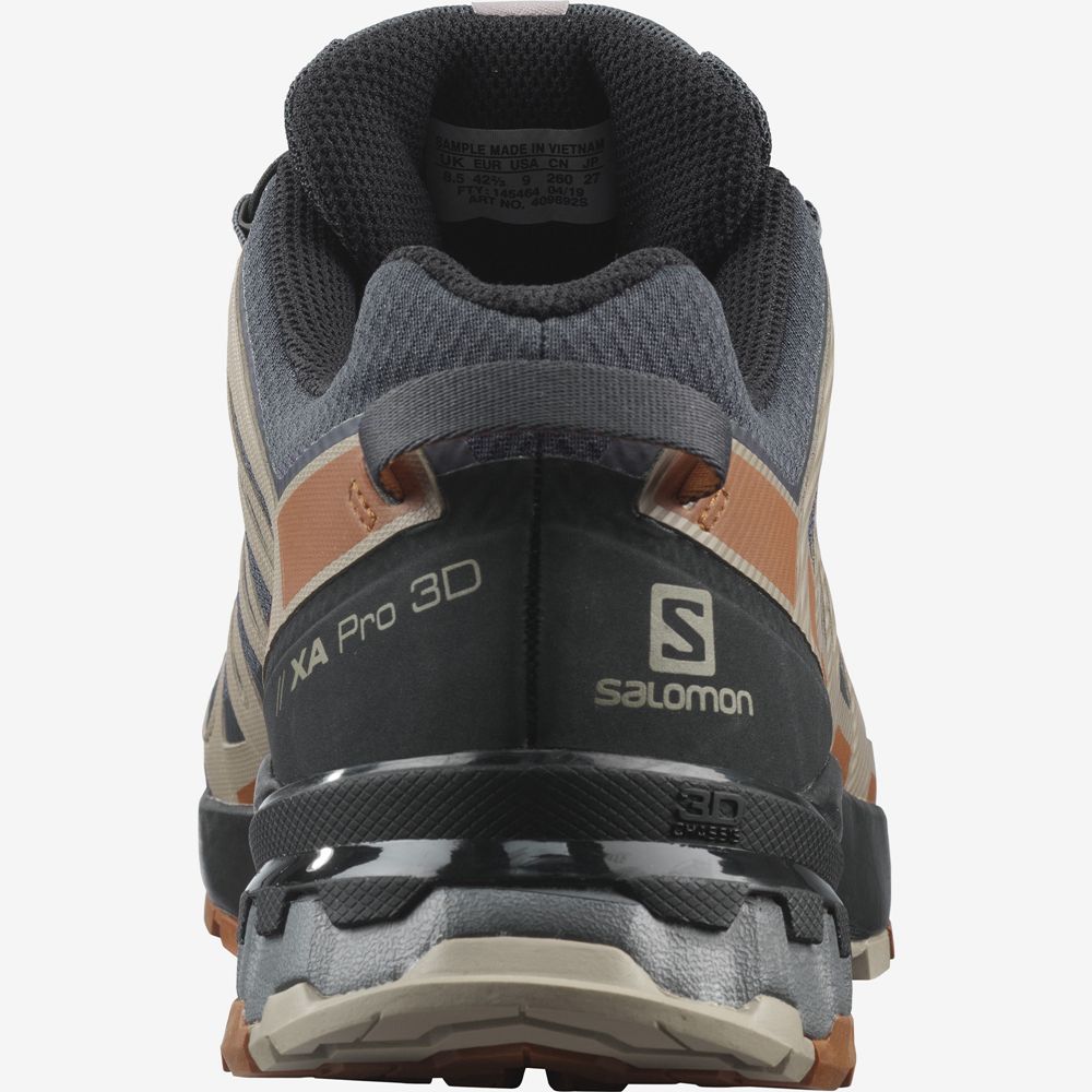 Chaussure Trail Running Salomon XA PRO 3D V8 GORE-TEX Homme Multicolore | NGRYE-7084