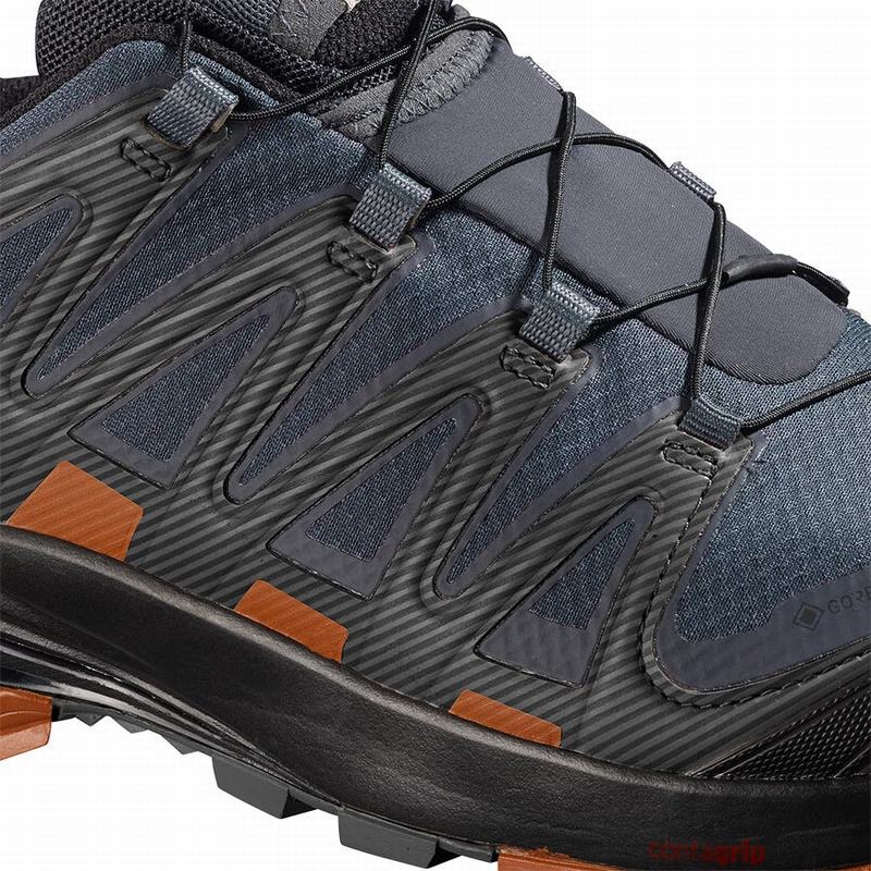 Chaussure Trail Running Salomon XA PRO 3D V8 GORE-TEX Homme Bleu Foncé Noir | YFAMJ-5064