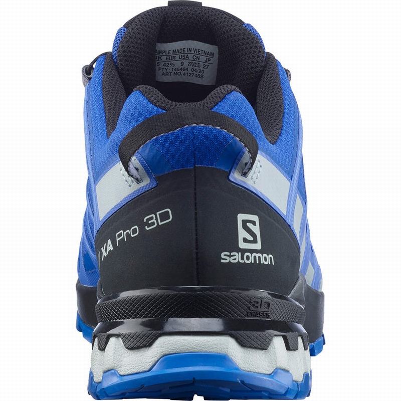 Chaussure Trail Running Salomon XA PRO 3D V8 GORE-TEX Homme Noir Bleu | DRXZQ-9481