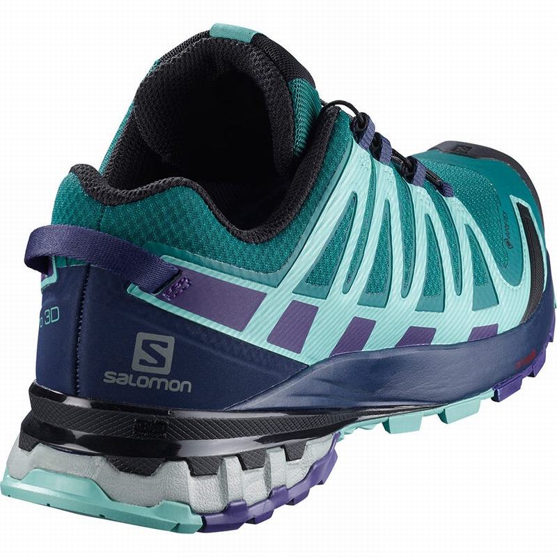 Chaussure Trail Running Salomon XA PRO 3D V8 GORE-TEX Femme Bleu | FMPBA-4239