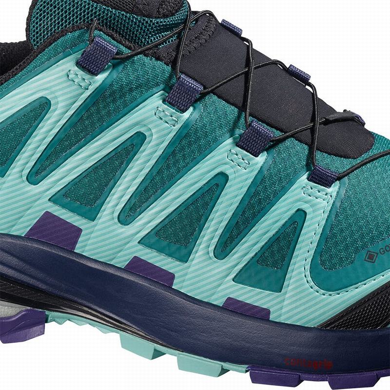 Chaussure Trail Running Salomon XA PRO 3D V8 GORE-TEX Femme Bleu | FMPBA-4239