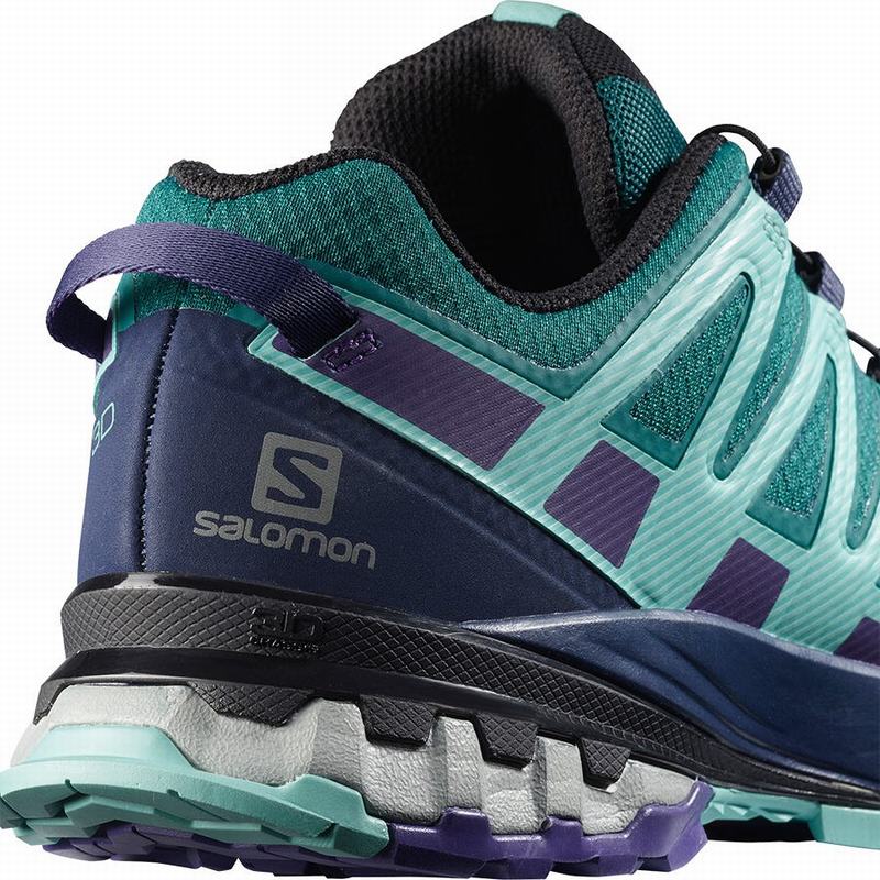 Chaussure Trail Running Salomon XA PRO 3D V8 GORE-TEX Femme Bleu | FMPBA-4239