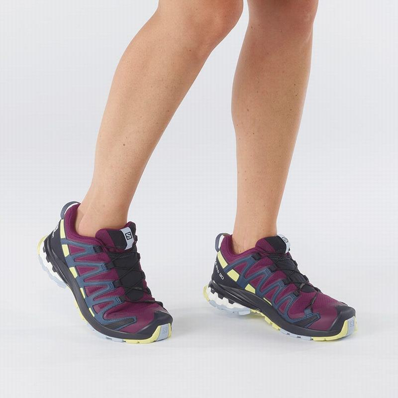 Chaussure Trail Running Salomon XA PRO 3D V8 GORE-TEX Femme Violette | VWGHK-5906