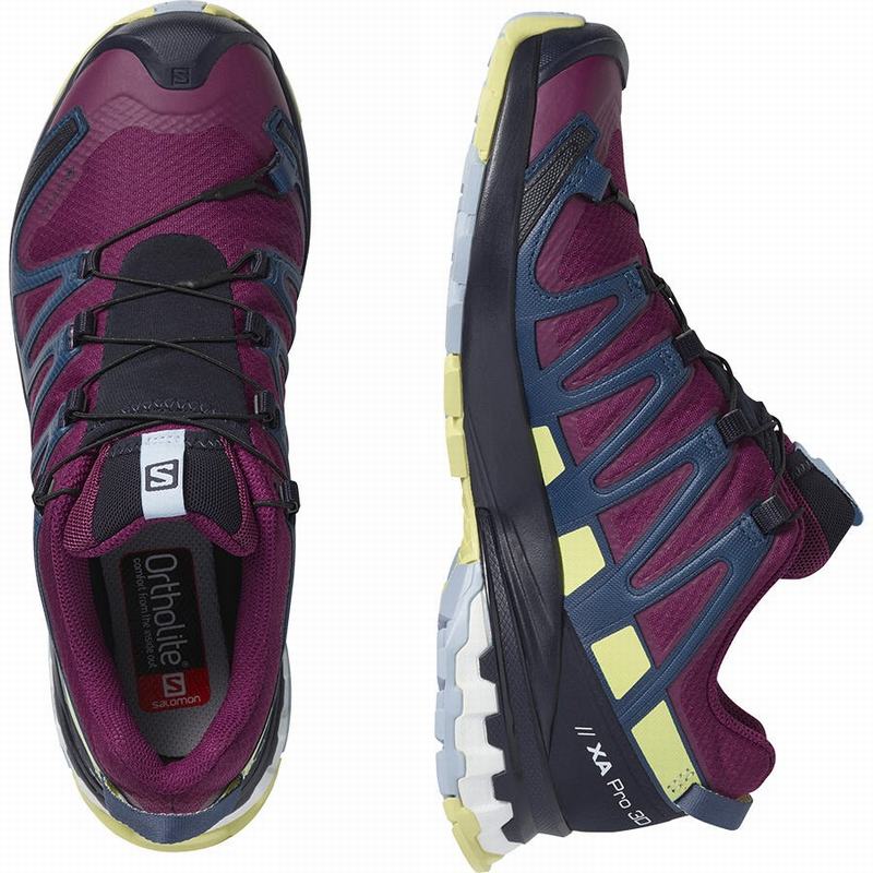 Chaussure Trail Running Salomon XA PRO 3D V8 GORE-TEX Femme Violette | VWGHK-5906