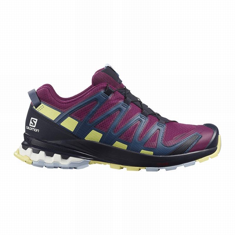 Chaussure Trail Running Salomon XA PRO 3D V8 GORE-TEX Femme Violette | VWGHK-5906