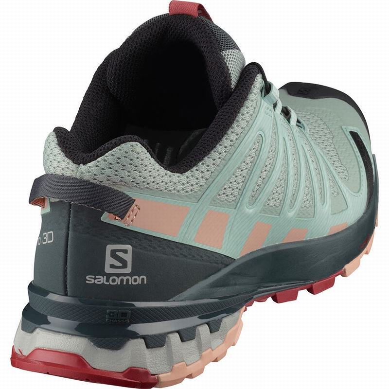 Chaussure Trail Running Salomon XA PRO 3D V8 Femme Turquoise Clair Grise | GBJPD-3578