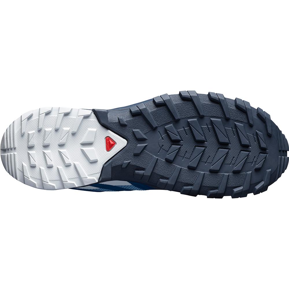 Chaussure Trail Running Salomon XA ROGG Homme Bleu | NTKQW-0467