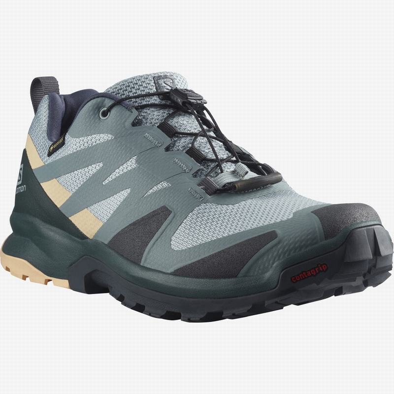 Chaussure Trail Running Salomon XA ROGG GTX W Femme Vert Blanche | ITZSW-5041