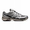 Chaussure Trail Running Salomon XT-WINGS 2 Homme Argent Metal | WXYVC-5903