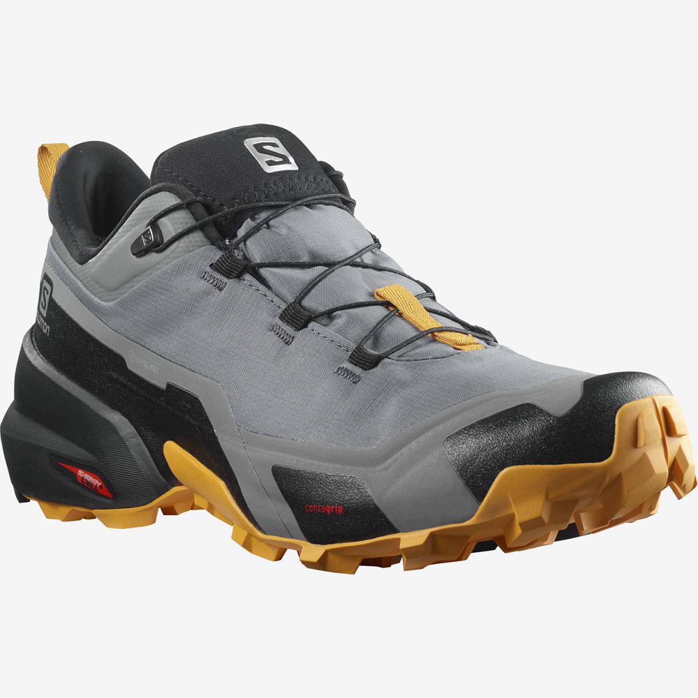 Chaussure de Randonnée Salomon CROSS HIKE GORE-TEX Homme Grise | EIDQT-5932