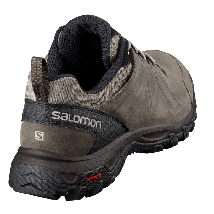 Chaussure de Randonnée Salomon EVASION 2 LTR Homme Marron Noir | EUCSD-5821