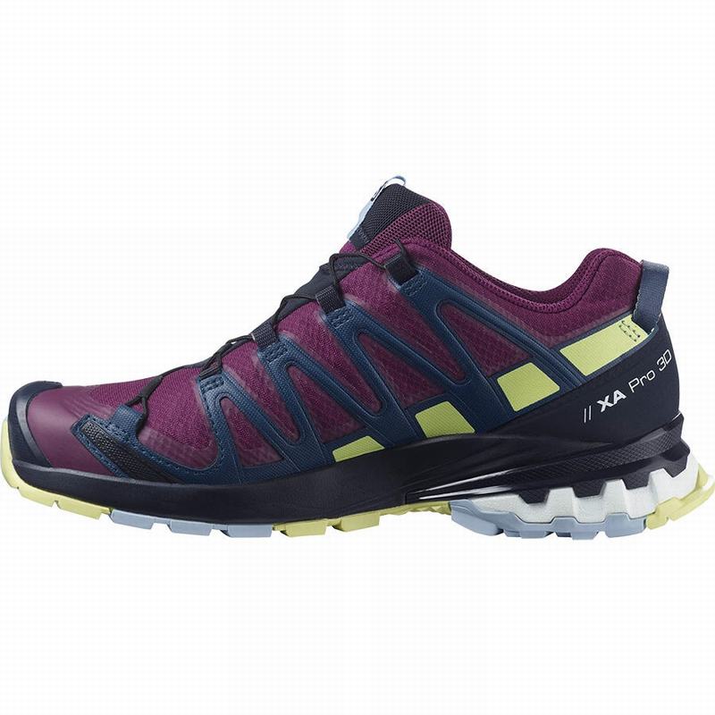 Chaussure de Randonnée Salomon XA PRO 3D V8 GORE-TEX Femme Violette | BKZEG-0834