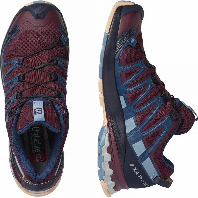 Chaussure de Randonnée Salomon XA PRO 3D V8 Femme Bordeaux Bleu | NQOZH-9702