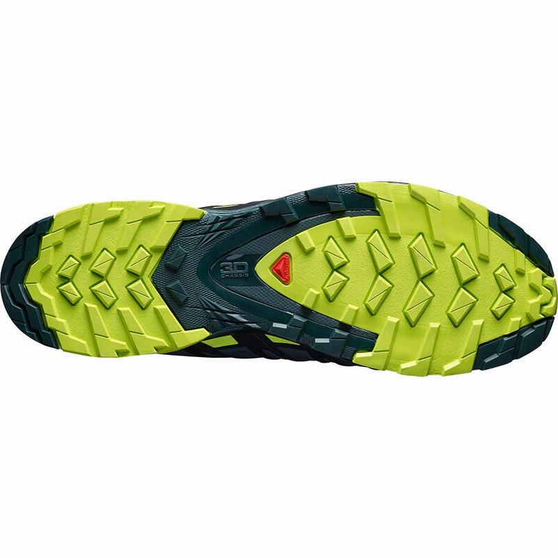 Chaussure de Randonnée Salomon XA PRO 3D V8 GORE-TEX Homme Noir Vert Clair | LWJVI-9253