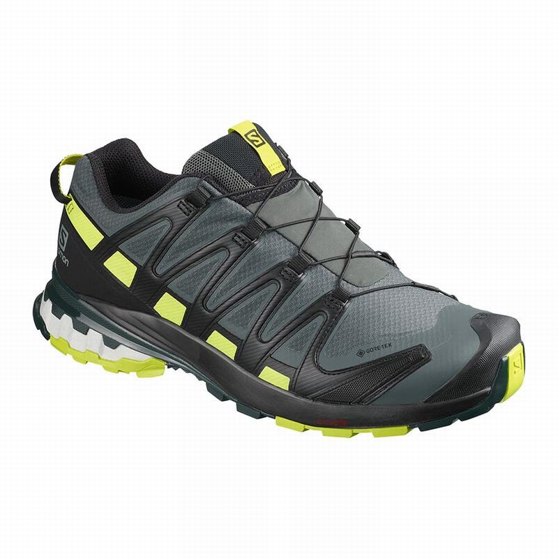 Chaussure de Randonnée Salomon XA PRO 3D V8 GORE-TEX Homme Noir Vert Clair | LWJVI-9253