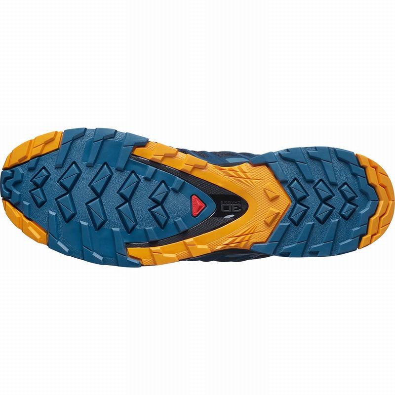 Chaussure de Randonnée Salomon XA PRO 3D V8 Homme Bleu Marine Bleu | WDJOG-6437