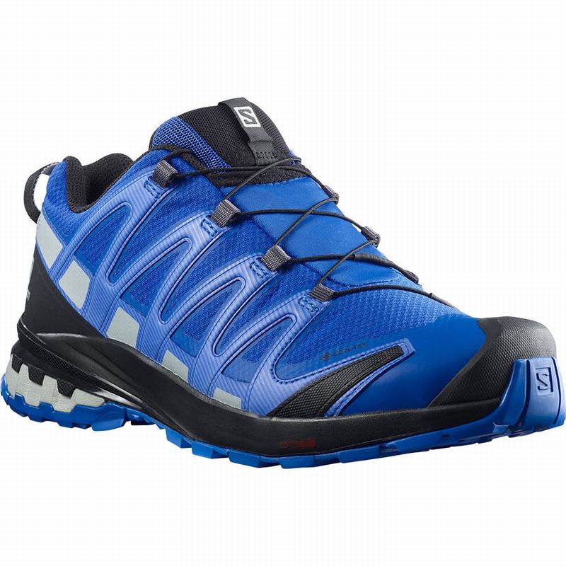 Chaussure de Randonnée Salomon XA PRO 3D V8 GORE-TEX Homme Noir Bleu | MSCEP-9436