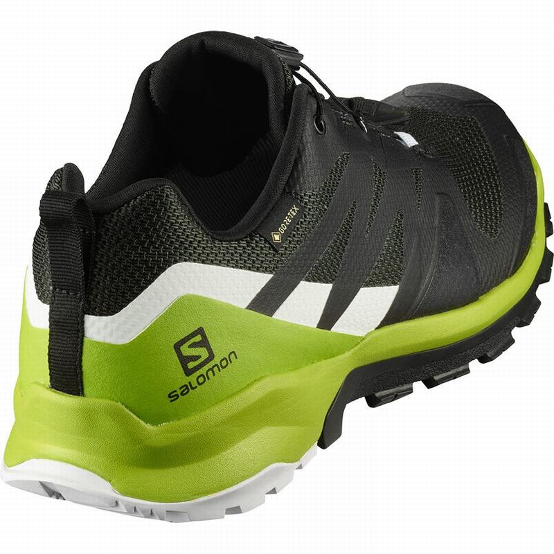 Chaussure de Randonnée Salomon XA ROGG GTX Homme Noir Vert Clair | CTKBE-5390