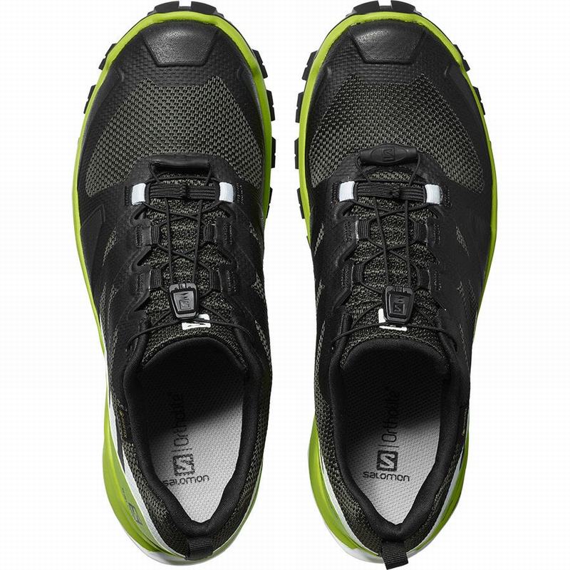 Chaussure de Randonnée Salomon XA ROGG GTX Homme Noir Vert Clair | CTKBE-5390